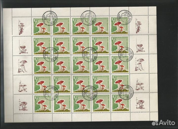 СССР 1964 г, Грибы. листы без купонов