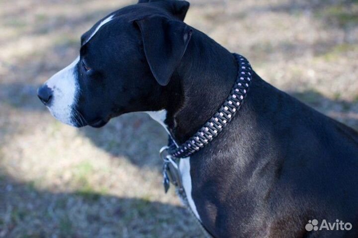 Браслеты из паракорда