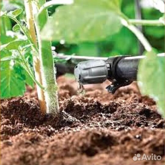 Система капельного полива