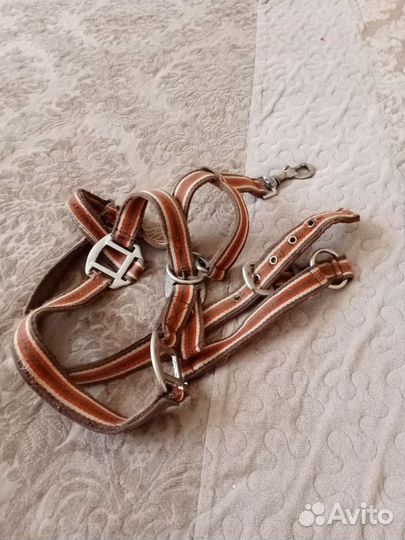 Хобби и отдых