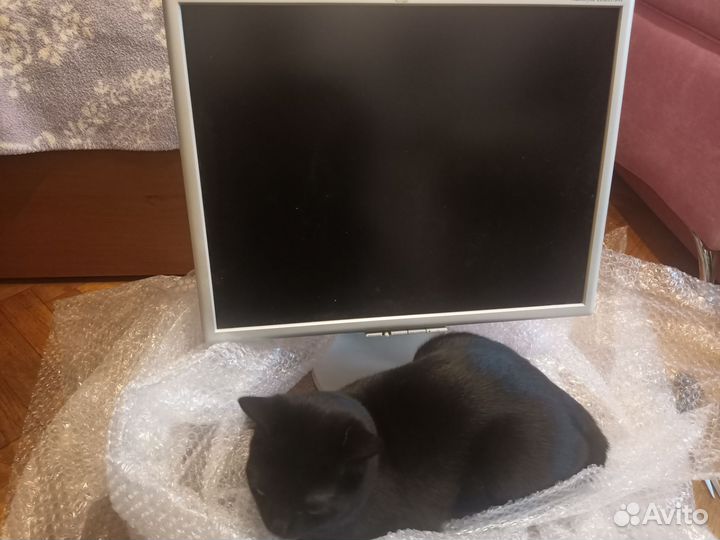 NEC MultiSync LCD2170NX