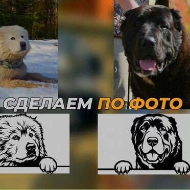 Фото питомца на табличке, качество премиум