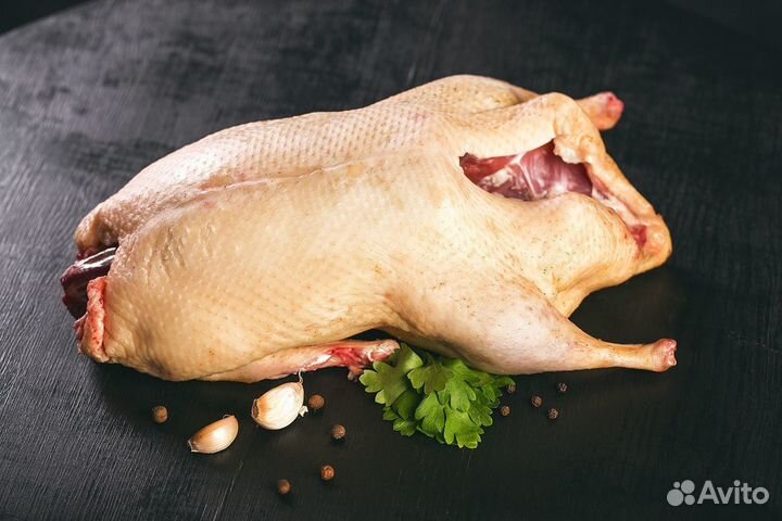 Гуси на мясо