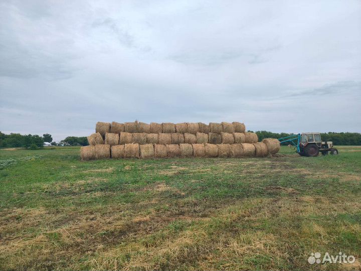 Сено в тюках