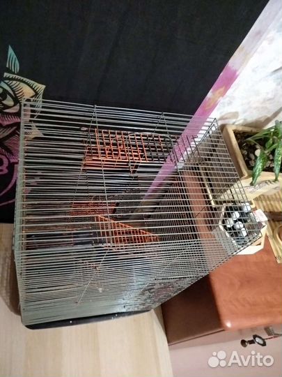 Клетка для грызунов