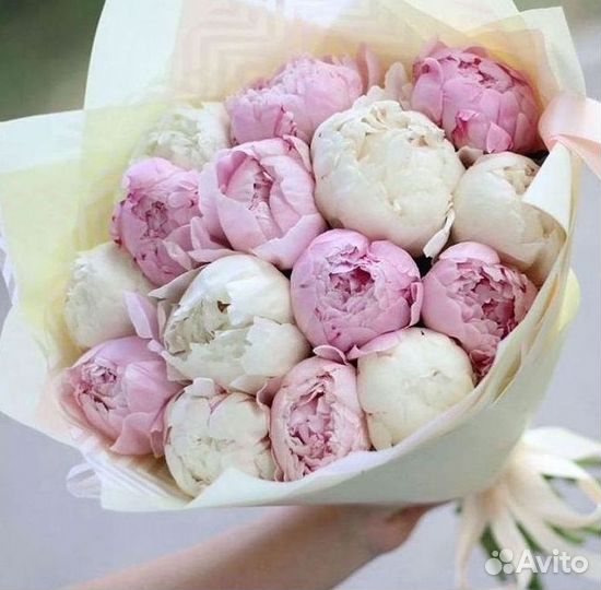 Пионы Букет пионов Доставка цветов