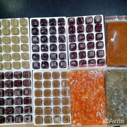 Корм для рыб+циклоп, мотыль