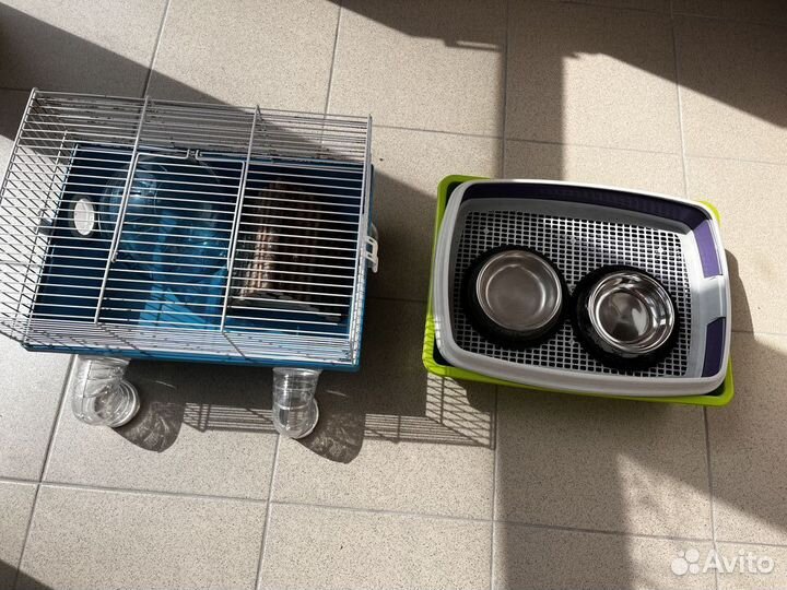 Аксессуары для животных