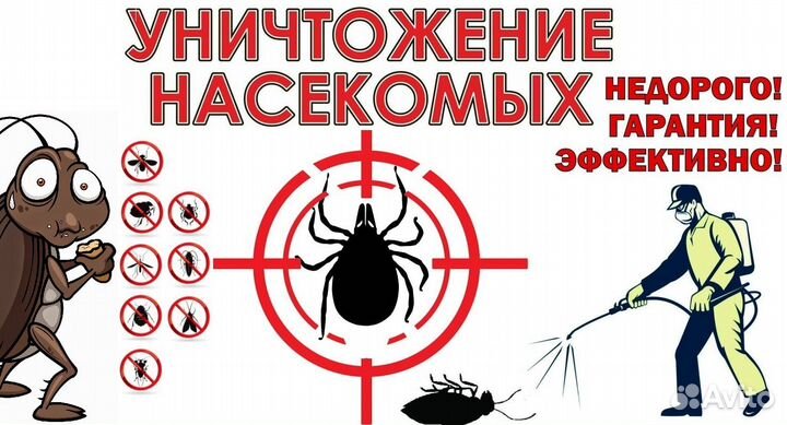 Уничтожение клопов тараканов блох клещей мышей