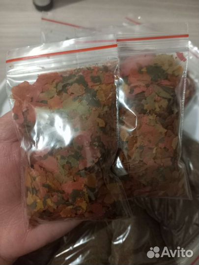 Аквариумные растения, рыбки, креветки, аквариумы