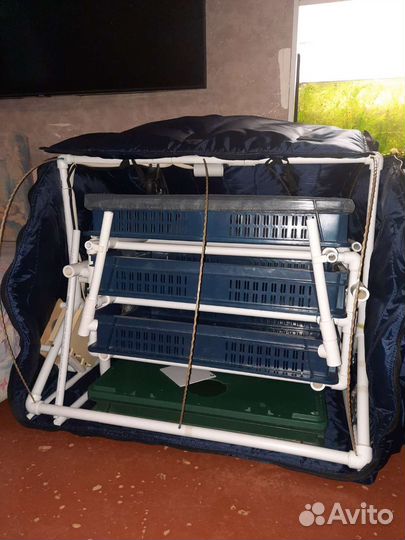 Инкубатор тгб 360