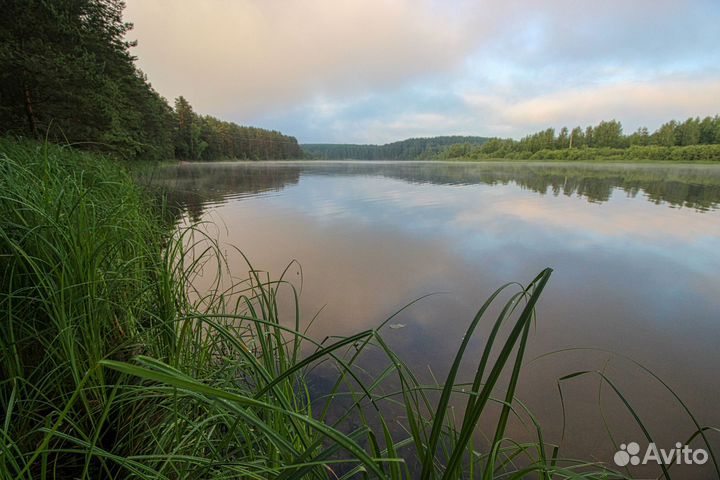 Apple iPad Mini WiFi + Cellular