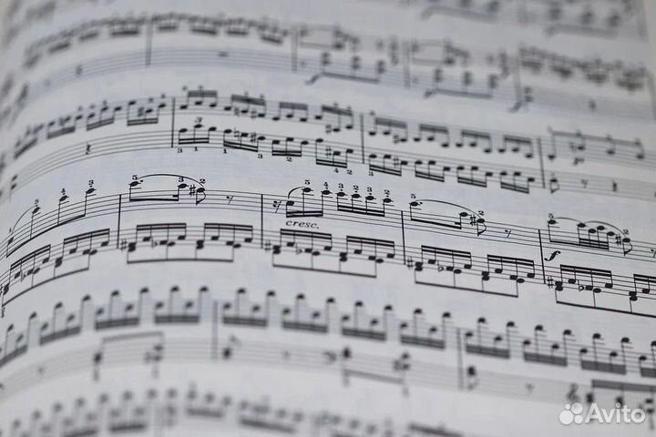 Качественный набор / написание нотного текста