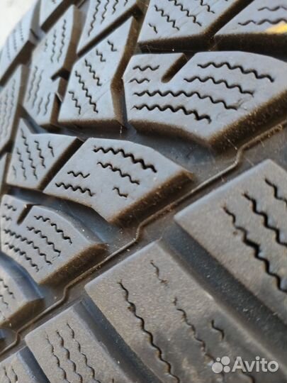 Dunlop Winter Sport 5 205/55 R16 91T