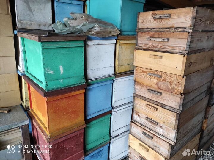 Пчелы улья пасеку