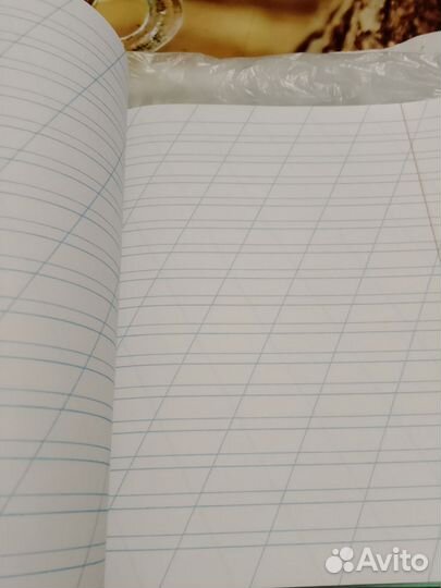 Тетрадь узкая косая линейка
