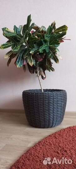 Кашпо 20 л. из искусственного ротанга