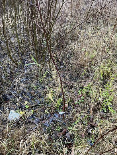 Участок 12 сот. (ИЖС)