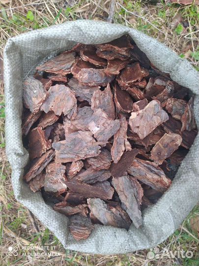 Кора сосны мульча