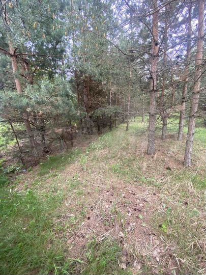 Участок 15 сот. (ИЖС)