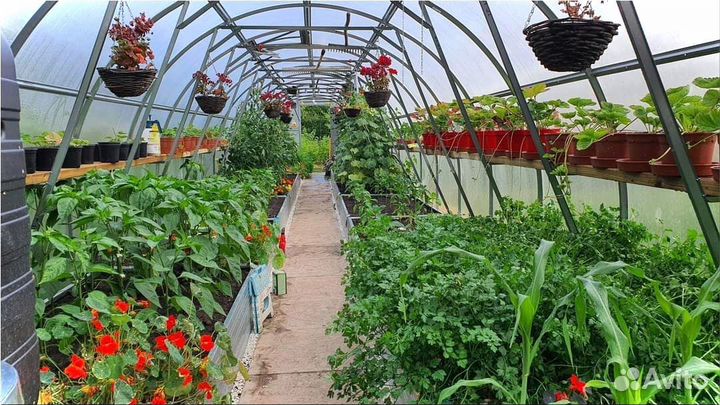 Теплица арочная от производителя с доставкой