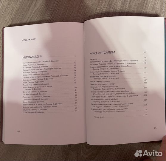 Книга - Мифтахетдин и Мухаметсалим