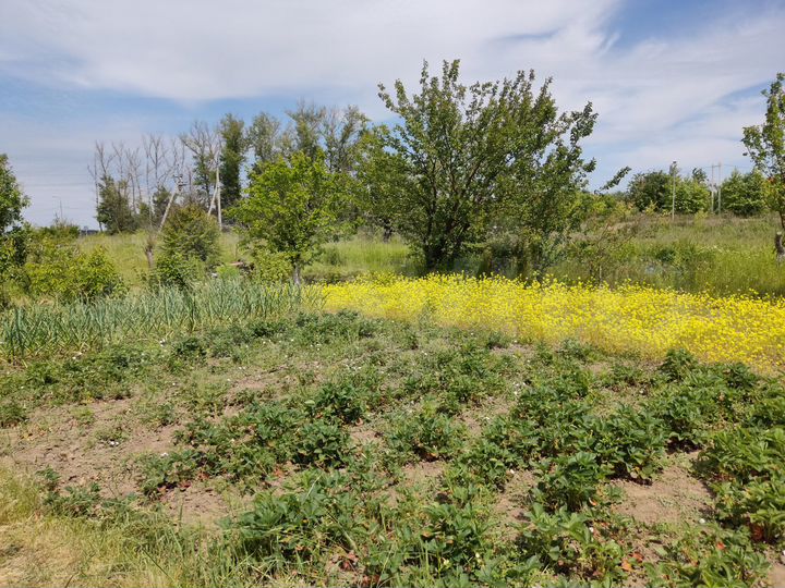 Дача 20 м² на участке 8 сот.