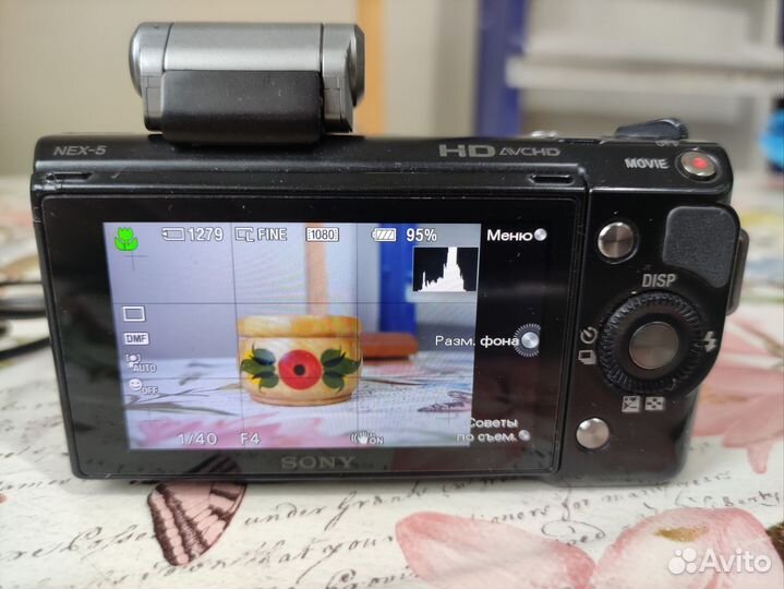 Sony alpha nex 5