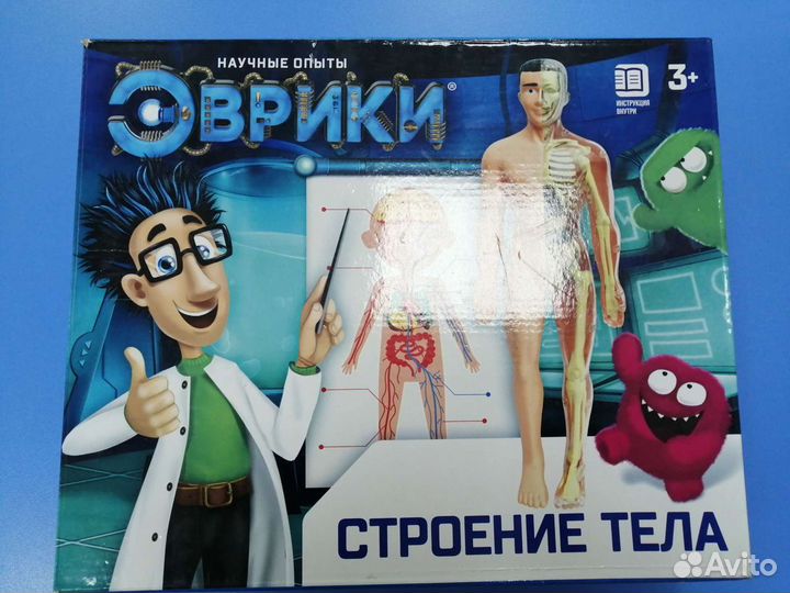 Развивающ. игра макет человека