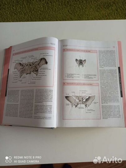 Большой атлас анатомии человека