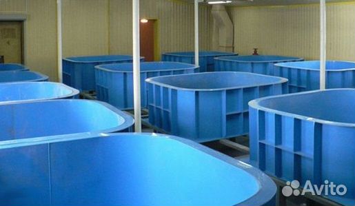 Высоко доходный бизнес под ключ рыбная ферма узв