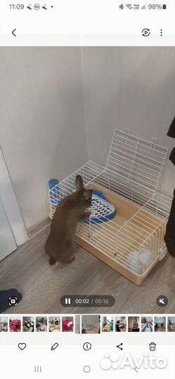 Клетка для грызунов