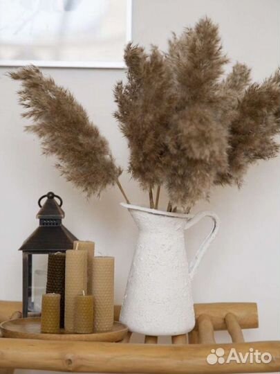Сухоцветы/камыш/пампасная трава/трастник