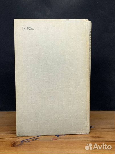 Мыслящий тростник