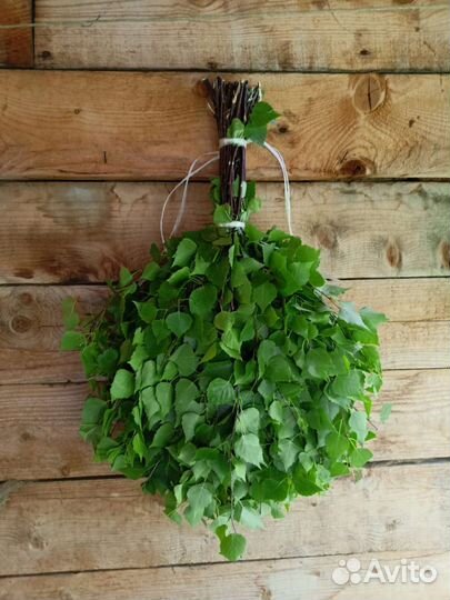 Венички берёзовые