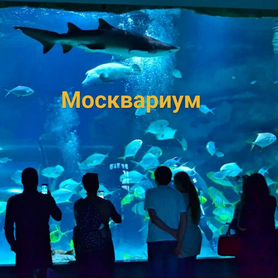 Билет в Москвариум