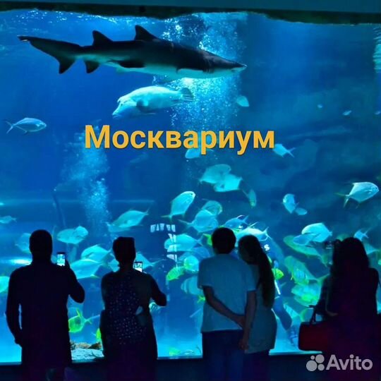 Билет в Москвариум