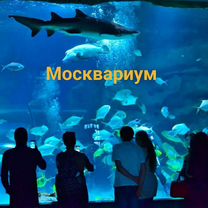 Билет в Москвариум