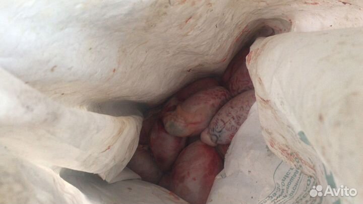 Мясо для собак