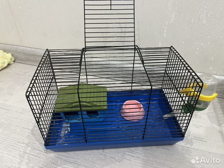 Клетка для джунгарского хомяка