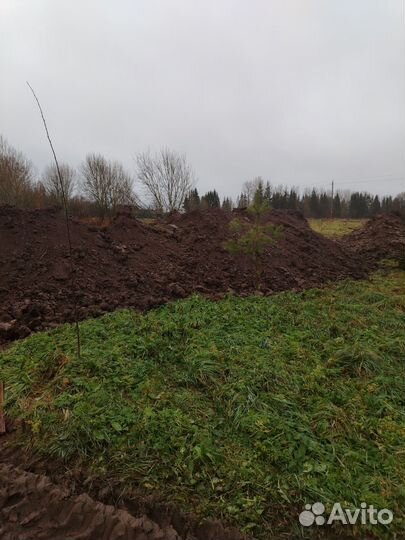 Земля на подсыпку Лужский район