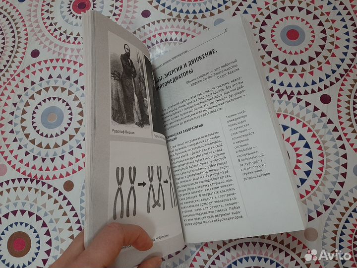 Книга. Гормоны и химия мозга