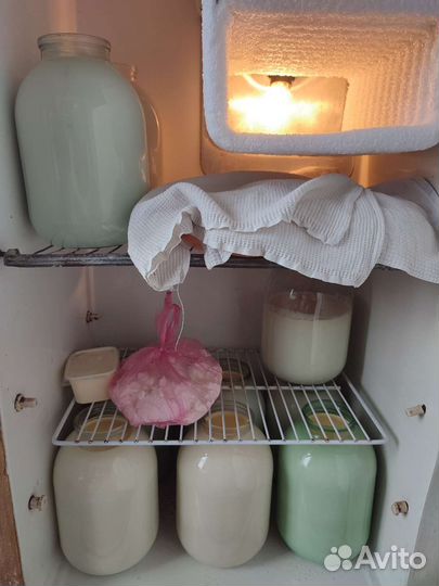 Молочные продукты