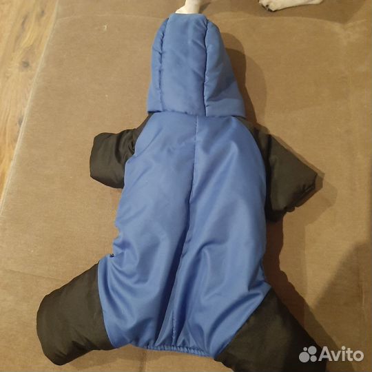 Комбинезон для собаки