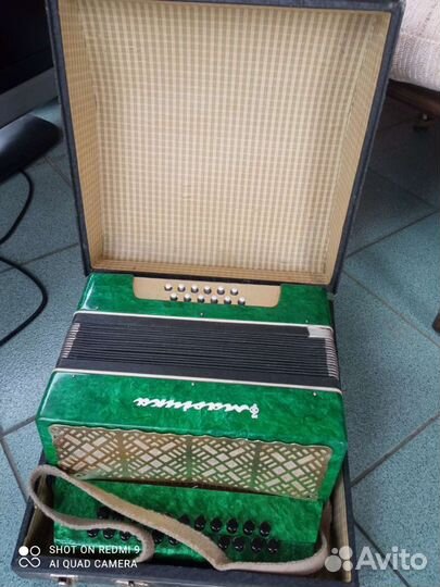 Гармонь Маричка