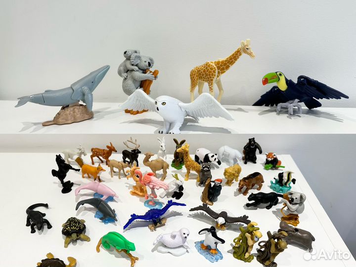 Киндер natoons и natoons maxi продажа/обмен