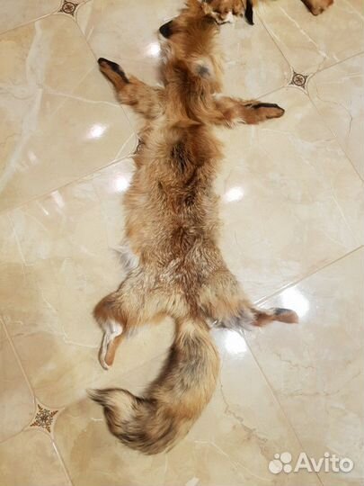 Лисья шкура