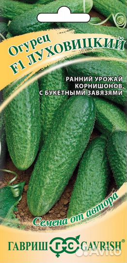 Рассада огурца сорт Кураж, артист, гармонист