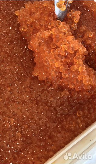 Икра красная Горбуши 2023