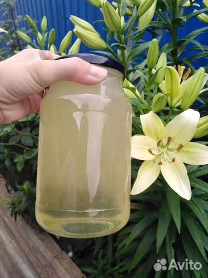 Мёд белая акация